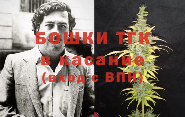 дживик Татарск