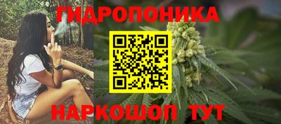 дживик Жуковский