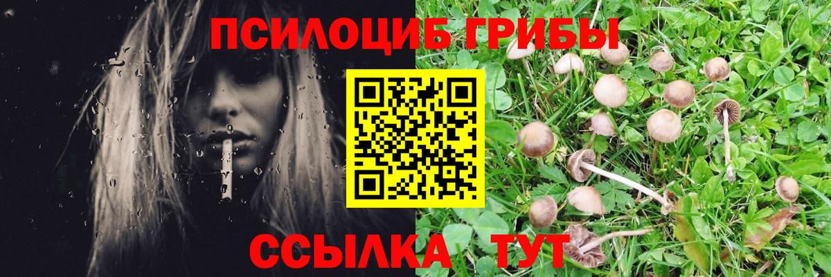 Троицк  купить наркотик  Вход с VPN  Галлюциногенные грибы Magic Shrooms  Галлюциногенные грибы Psilocybe 